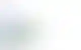 Blurred archive preview