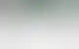 Blurred archive preview