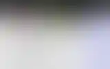 Blurred archive preview
