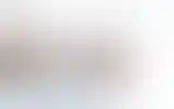 Blurred archive preview