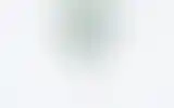 Blurred archive preview