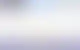 Blurred archive preview