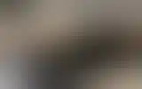 Blurred archive preview