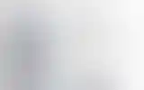 Blurred archive preview