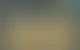 Blurred archive preview