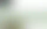 Blurred archive preview