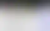Blurred archive preview