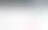 Blurred archive preview