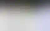 Blurred archive preview