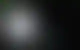 Blurred archive preview