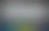 Blurred archive preview