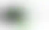 Blurred archive preview