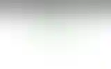 Blurred archive preview