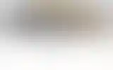Blurred archive preview
