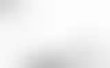 Blurred archive preview