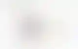 Blurred archive preview