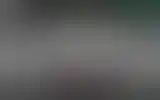 Blurred archive preview