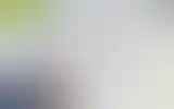 Blurred archive preview