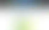 Blurred archive preview