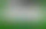 Blurred archive preview