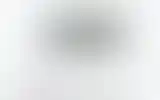 Blurred archive preview