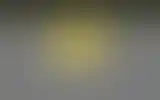 Blurred archive preview
