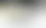 Blurred archive preview
