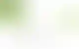 Blurred archive preview