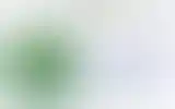 Blurred archive preview