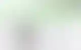 Blurred archive preview