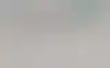 Blurred archive preview