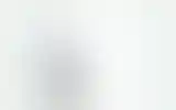 Blurred archive preview