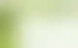 Blurred archive preview