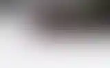 Blurred archive preview