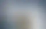 Blurred archive preview