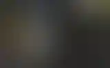 Blurred archive preview