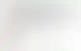 Blurred archive preview