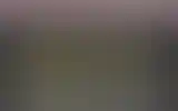 Blurred archive preview