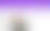 Blurred archive preview