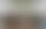 Blurred archive preview