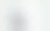 Blurred archive preview