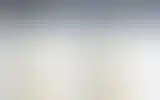 Blurred archive preview
