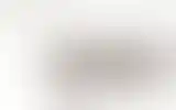 Blurred archive preview