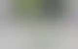 Blurred archive preview