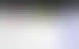 Blurred archive preview
