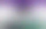 Blurred archive preview