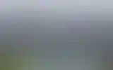 Blurred archive preview