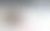Blurred archive preview