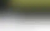 Blurred archive preview