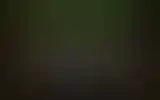 Blurred archive preview